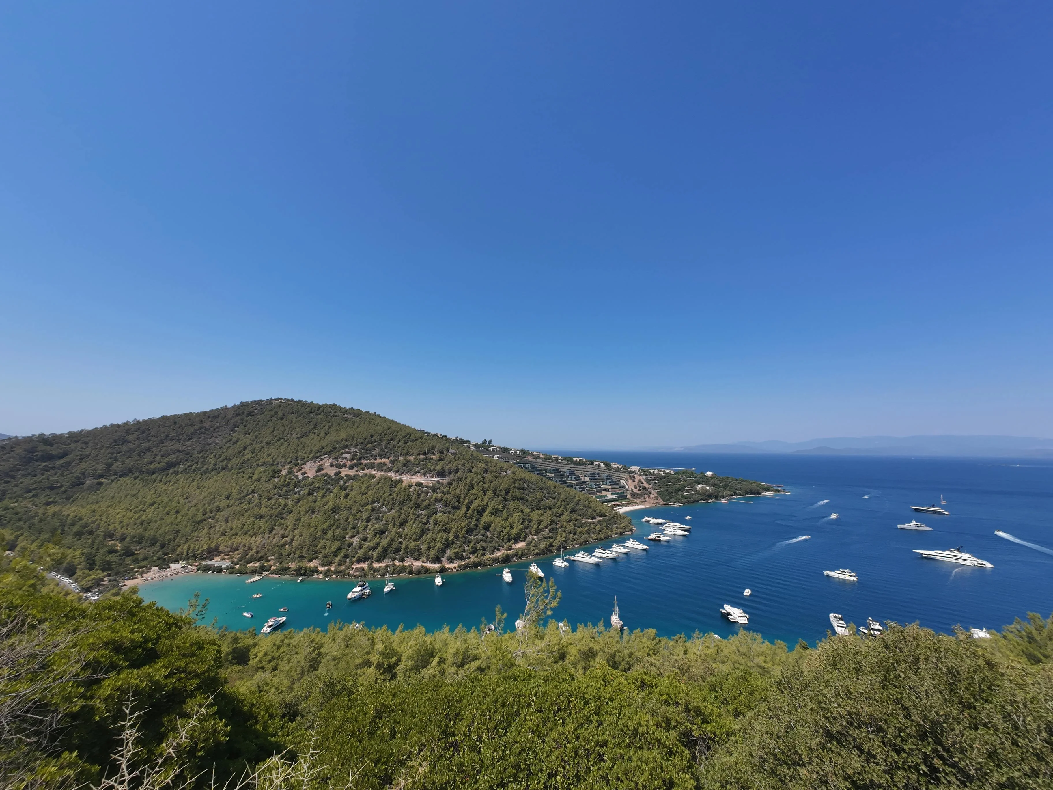 Starlink en el Caribe: guía de cobertura para yates y veleros en invernada